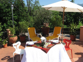 La TERRAZZA fra le TORRI Lucca